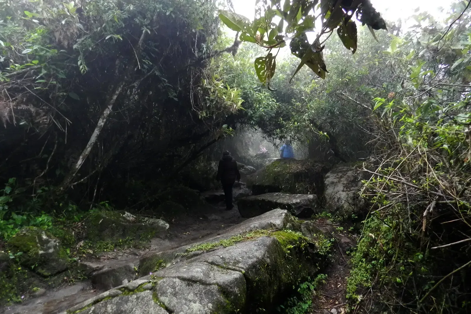 Camino Inca 2 Días / 1 Noche, foto 2